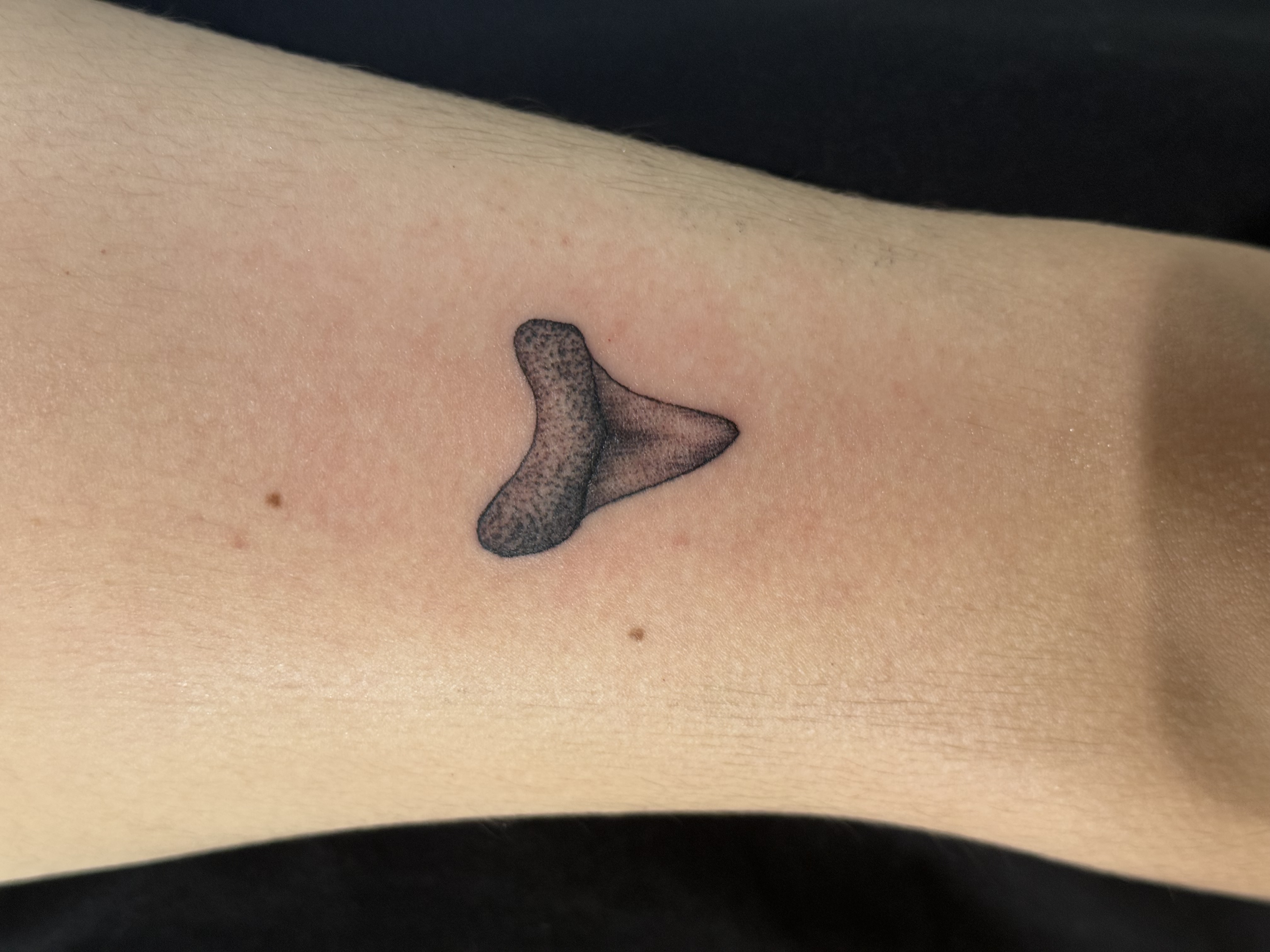 Tattoo by Mateo Fletcher at Arte Tattoo Studios